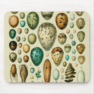 Vintage Bird Eggs French Fish Egg Art Mouse Mat