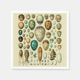 Vintage Bird Eggs French Fish Egg Art Napkin