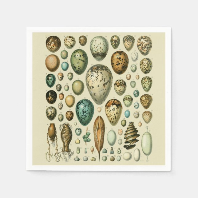 Vintage Bird Eggs French Fish Egg Art Napkin (Front)