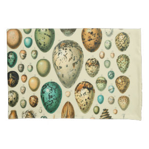 Vintage Bird Eggs French Fish Egg Art Pillowcase