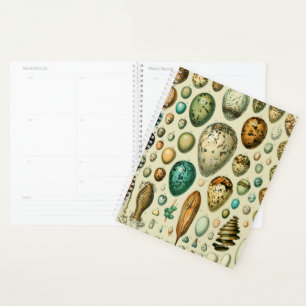 Vintage Bird Eggs French Fish Egg Art Planner