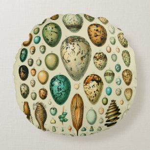 Vintage Bird Eggs French Fish Egg Art Round Cushion