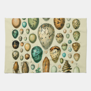 Vintage Bird Eggs French Fish Egg Art Tea Towel