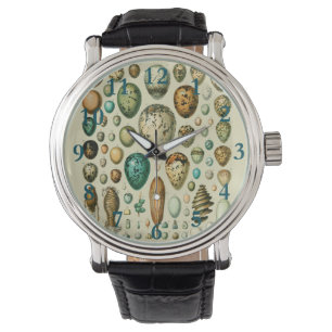 Vintage Bird Eggs French Fish Egg Art Watch