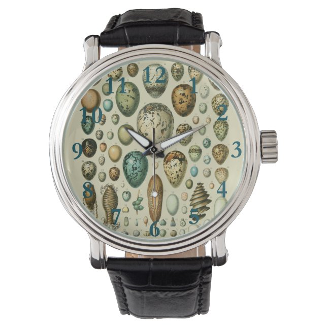 Vintage Bird Eggs French Fish Egg Art Watch (Front)