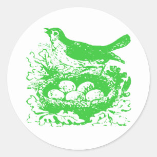 Vintage Bird Eggs & Nest Classic Round Sticker