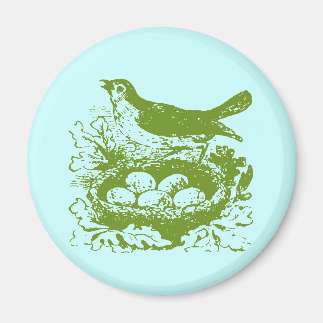 Vintage Bird Eggs & Nest Magnet (Front)