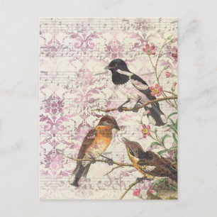 Vintage Bird Ephemera Decoupage Postcard