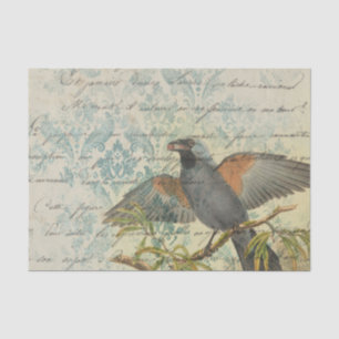 Vintage Bird Ephemera Decoupage Tissue Paper