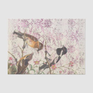 Vintage Bird Ephemera Tissue Paper   Decoupage
