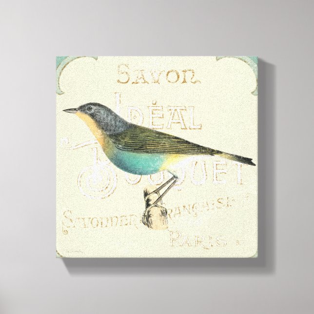 Vintage Bird Facing the Left Canvas Print (Front)