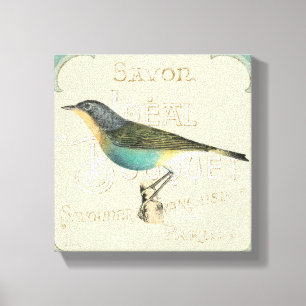Vintage Bird Facing the Left Canvas Print