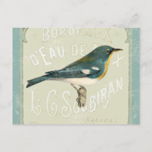 Vintage Bird Facing the Right Postcard