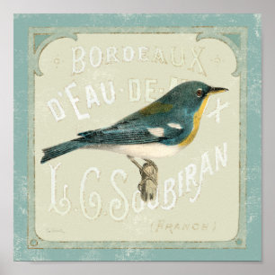 Vintage Bird Facing the Right Poster