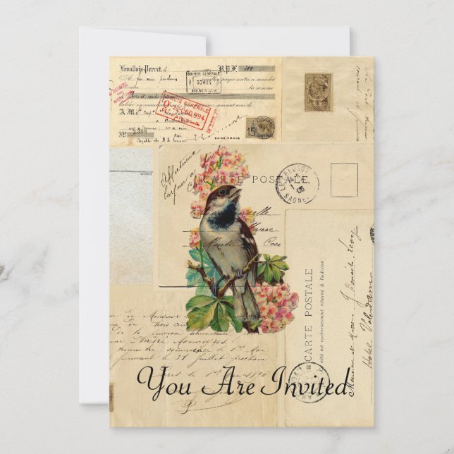 Vintage Bird Flowers French Postcards Invitation (Front)
