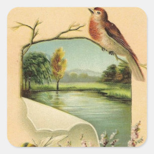 Vintage Bird fun animal sticker