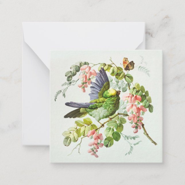 Vintage Bird Illustration Card (Front)