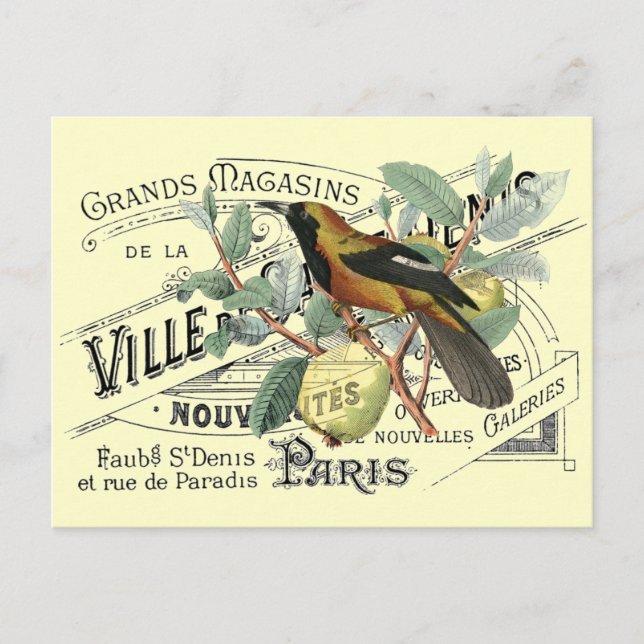 Vintage Bird in Fruit Tree Ephemera Collage Postcard (Front)