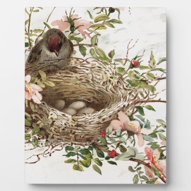 Vintage Bird in Nest Animal Print Plaque (Front)