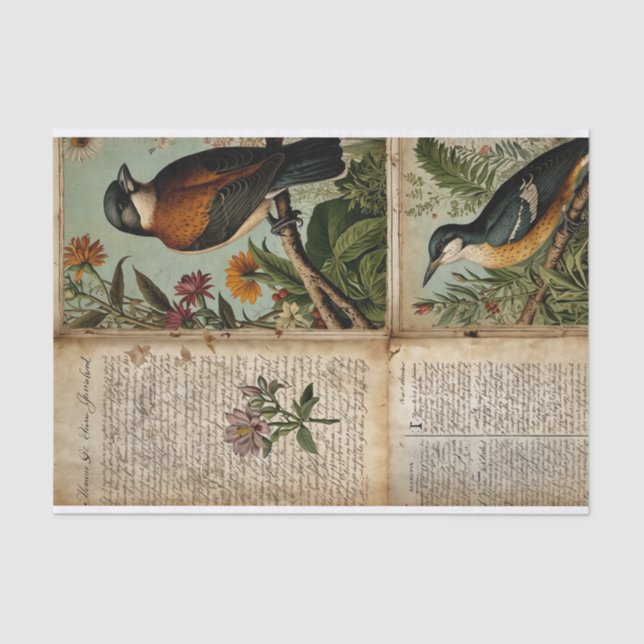 Vintage Bird Journal Tissue Paper (Front)