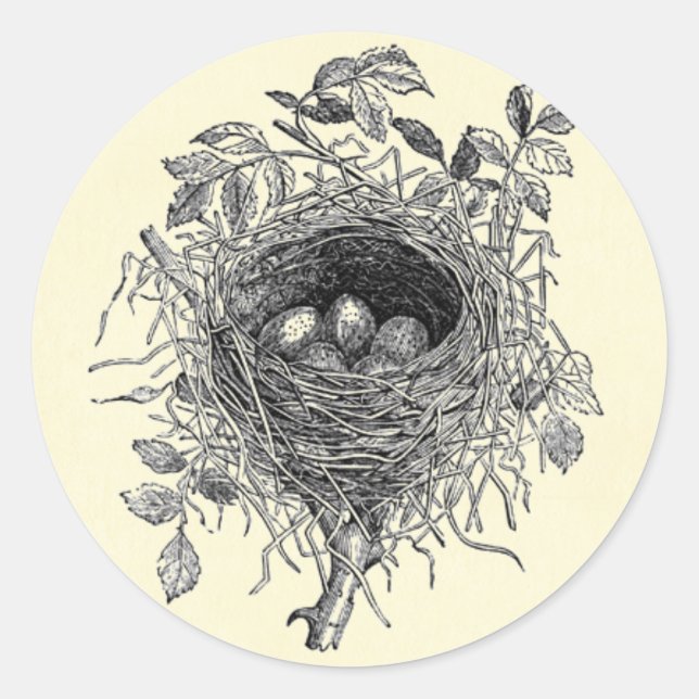 Vintage Bird Nest Illustration Classic Round Sticker (Front)