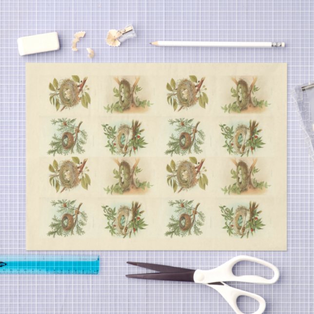 Vintage Bird Nest Illustrations Decoupage Paper (Craft)