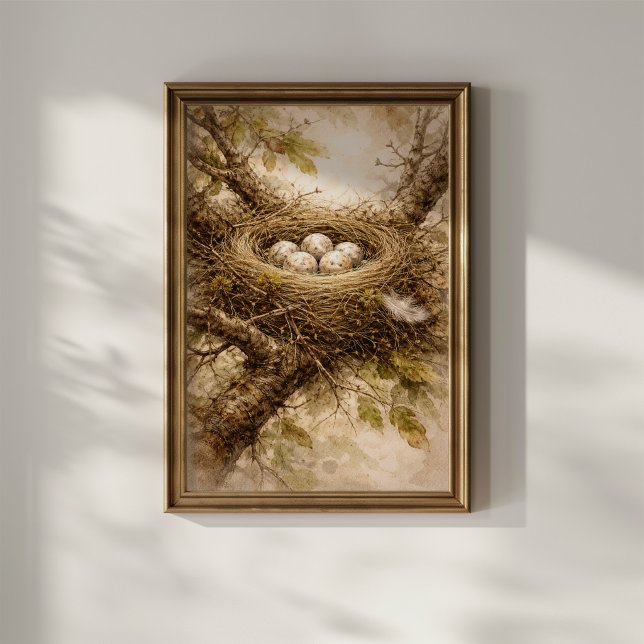 Vintage Bird Nest with Eggs Poster (Creator Uploaded)