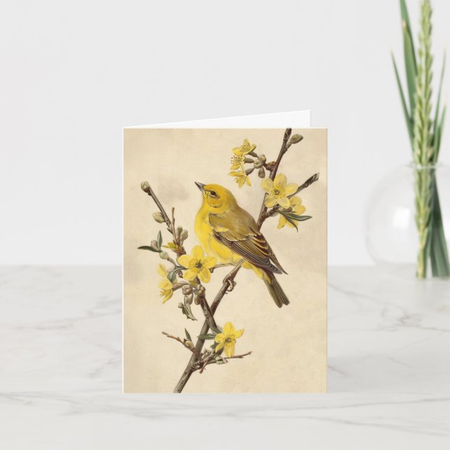 Vintage Bird Note Card (Front)