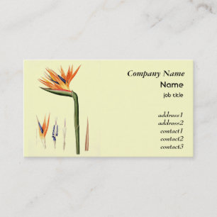 Vintage bird of paradise flower business card
