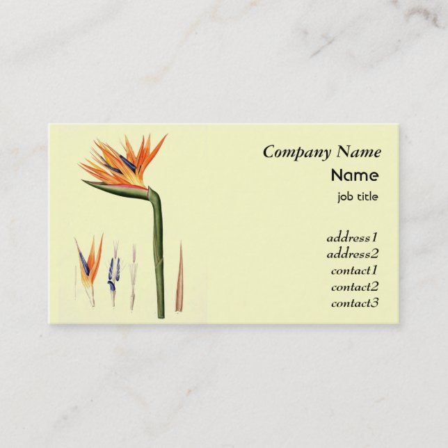 Vintage bird of paradise flower business card (Front)