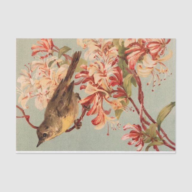 Vintage Bird pink flowers floral Tissue Paper (Front)