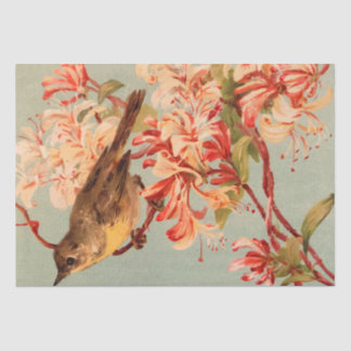 Vintage Bird pink flowers old illustration Tissue Paper