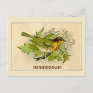 Vintage Bird Postcard