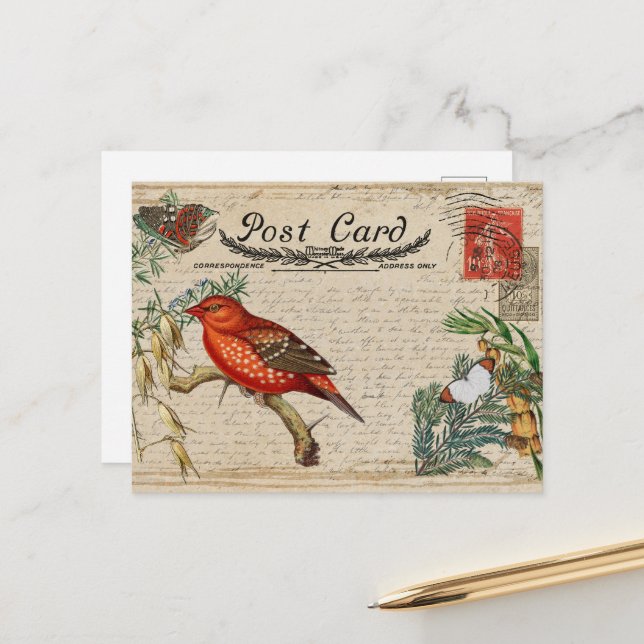 Vintage Bird Postcard (Front/Back In Situ)