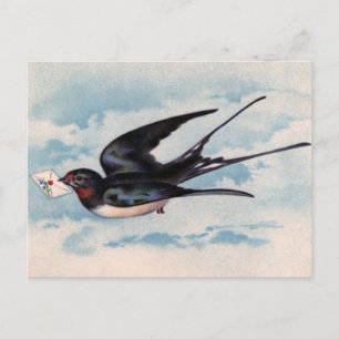 Vintage Bird Postcard