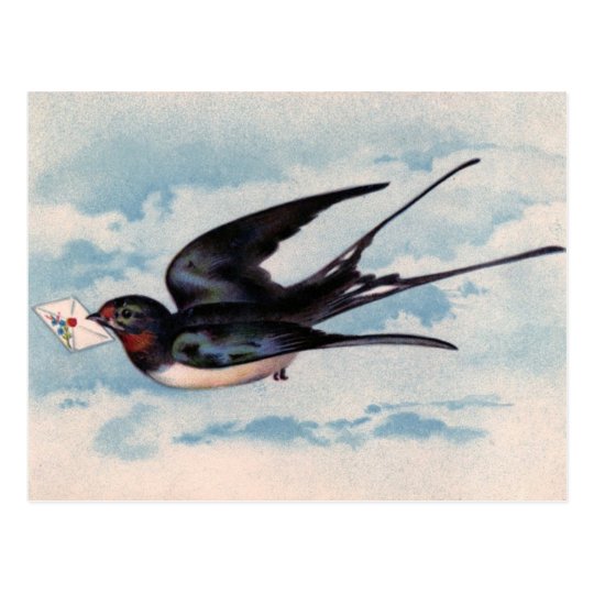 Vintage Bird Postcard