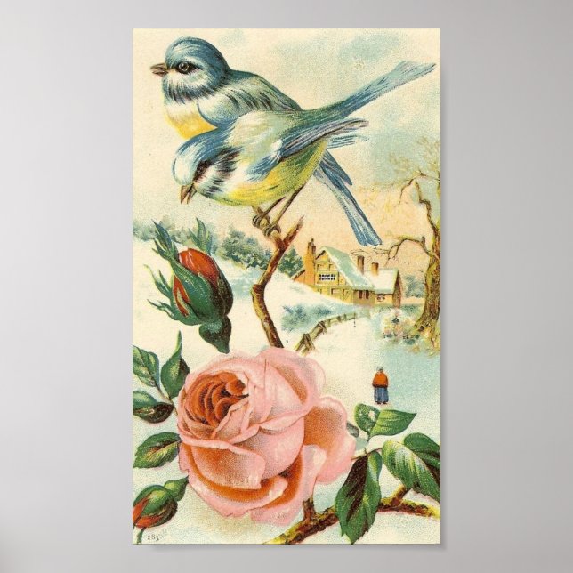 Vintage Bird Poster (Front)