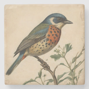 Vintage Bird Print Stone Coaster
