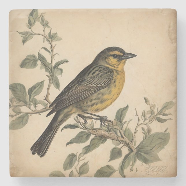 Vintage Bird Print Stone Coaster (Front)