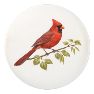 Vintage Bird Red Cardinal Drawer Ceramic Knob