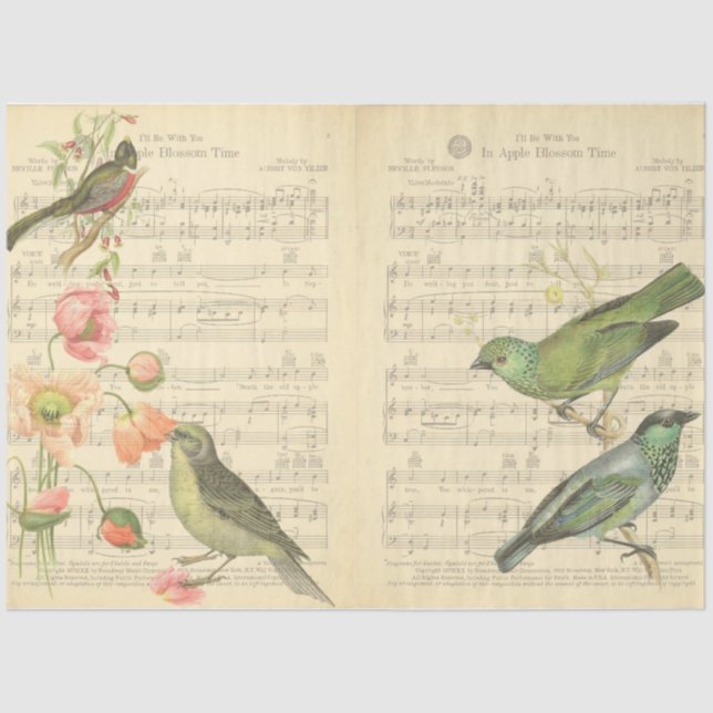 Vintage Bird Series Design 5 Tissue Paper (Front)
