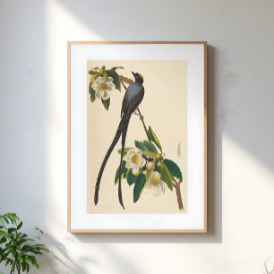 Vintage Bird Swallow-tailed floral illustration Poster