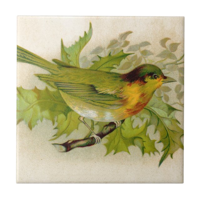 Vintage Bird Tile (Front)