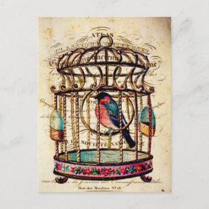 Vintage Birdcage French Paper Art Postcard
