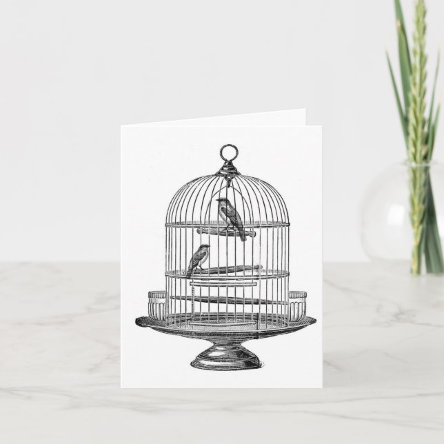 Vintage Birdcage with Birds...notecard Card (Front)