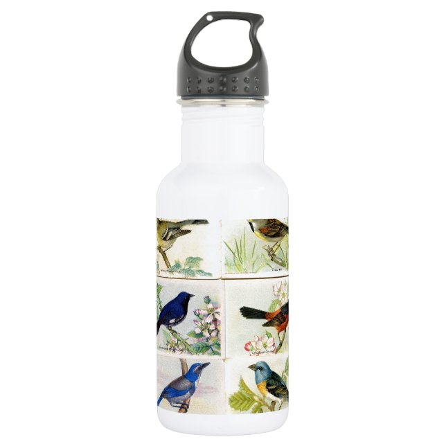 Vintage Birds 532 Ml Water Bottle (Front)