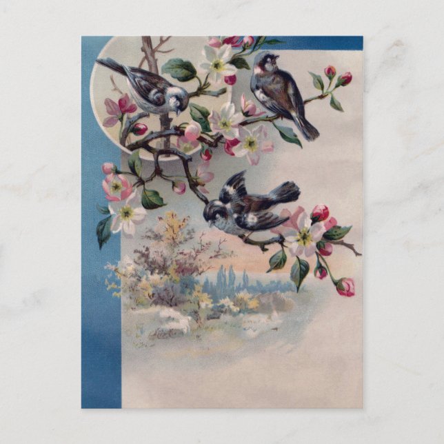 Vintage Birds and Blossoms Postcard (Front)