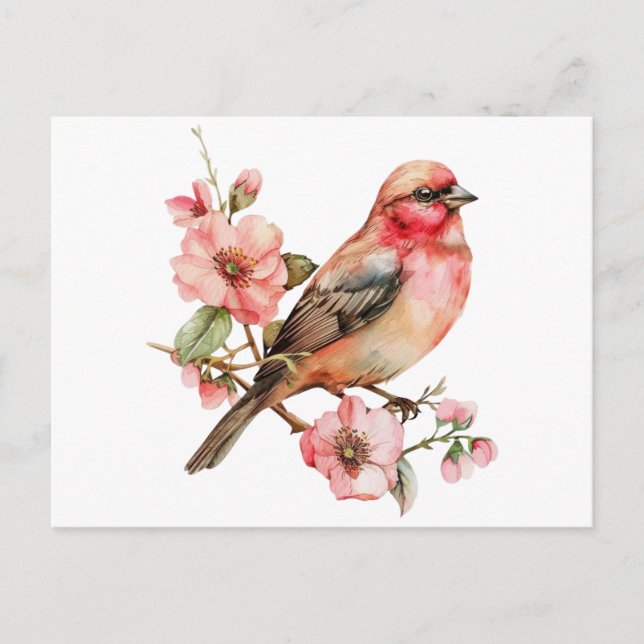 Vintage birds and flower postcard (Front)