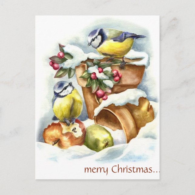 Vintage Birds and Flower Pots Christmas Postcard (Front)