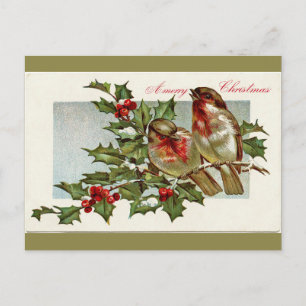 Vintage Birds and Holly Olive Green Christmas Holiday Postcard